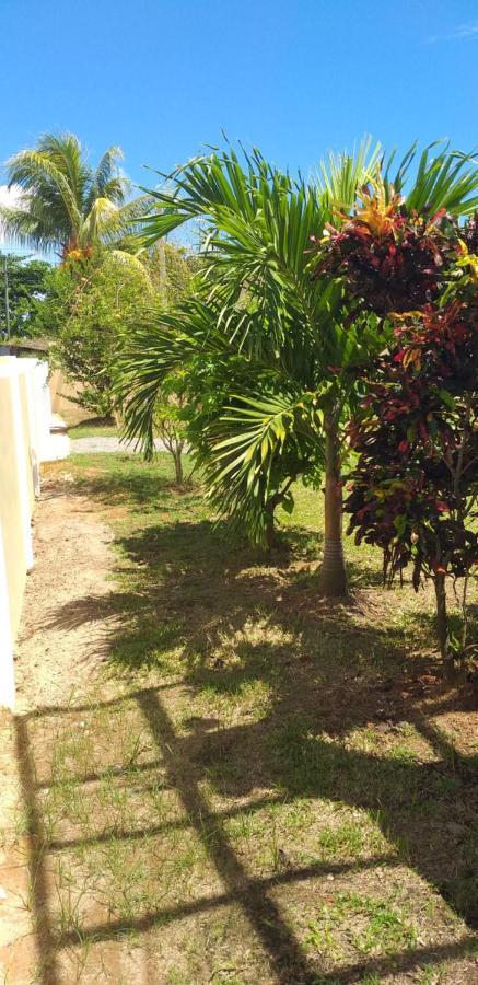 Villa Bethlehem Self-Catering Anse Boileau Exterior photo